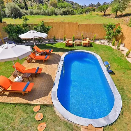 Villa Limon *