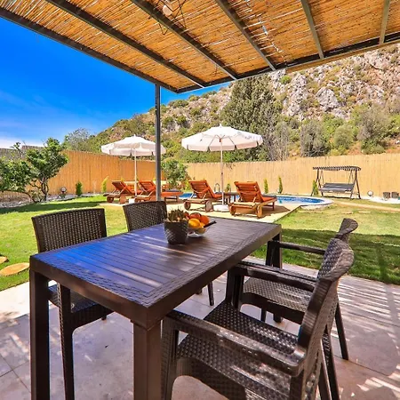 Limon Villa