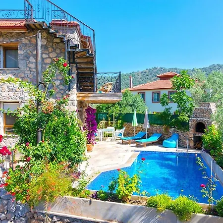 Limon Villa