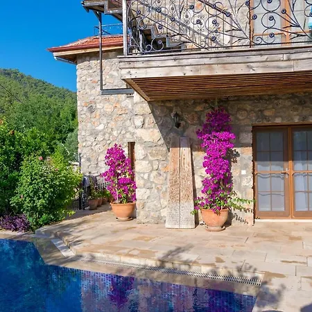 Limon Villa *